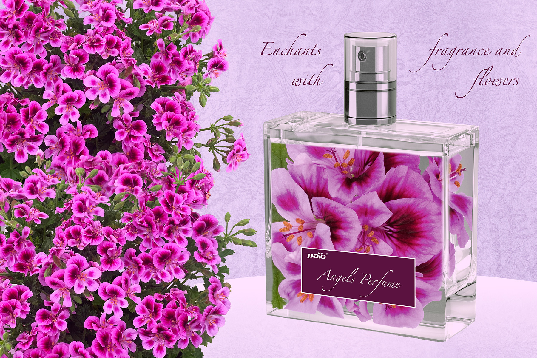 angels perfume lavender parfume 02 angels perfume lavender parfume 02